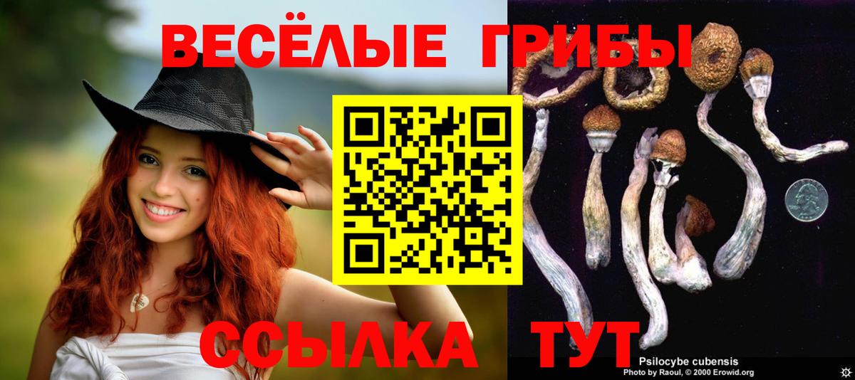 Псилоцибиновые грибы прущие грибы  Псилоцибиновые грибы Cubensis  Шуя  Вход с VPN 
